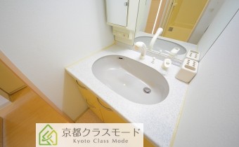 シャンプードレッサー