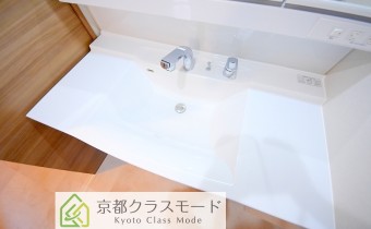シャンプードレッサー