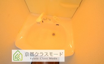シャンプードレッサー