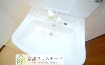 シャンプードレッサー