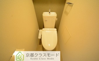 シャンプードレッサー