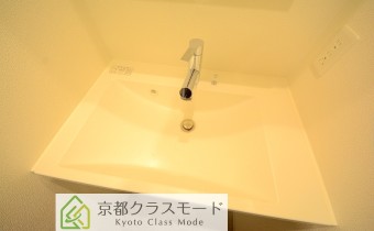 シャンプードレッサー