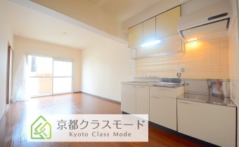 LDK10.5