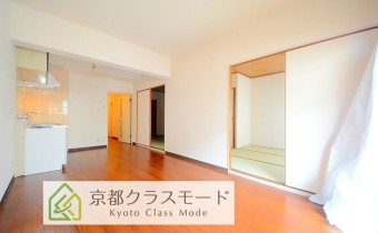 LDK10.5