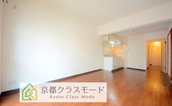 LDK10.5