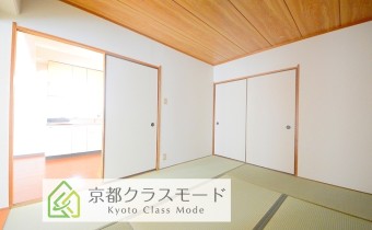 和6