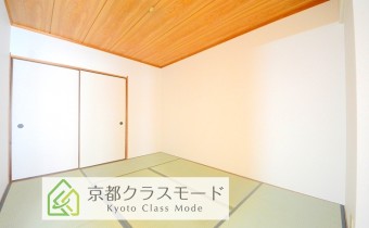 和6