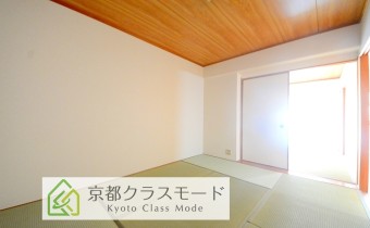 和6