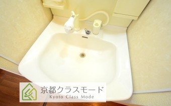 シャンプードレッサー