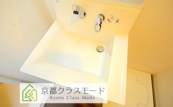 シャンプードレッサー