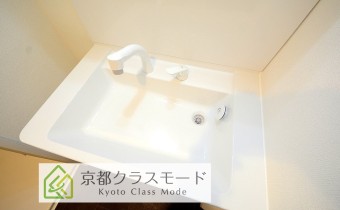 シャンプードレッサー