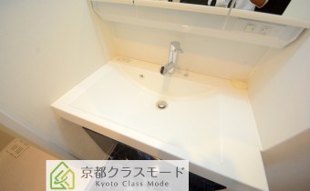 シャンプードレッサー