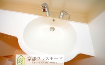シャンプードレッサー