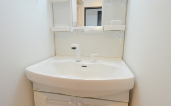 シャンプードレッサー