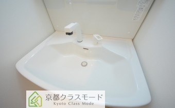 シャンプードレッサー