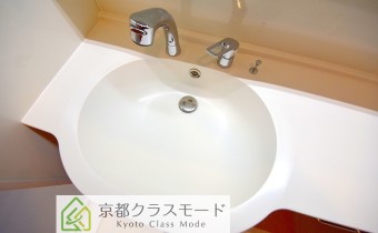 シャンプードレッサー
