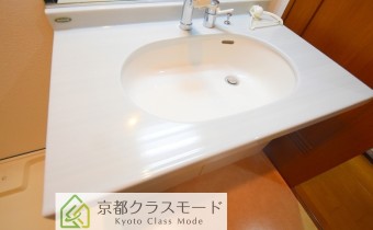 シャンプードレッサー