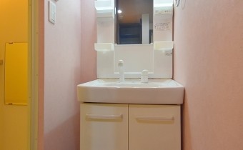 シャンプードレッサー