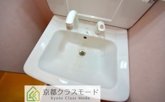 シャンプードレッサー