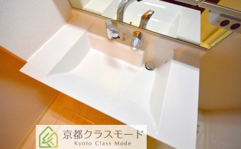 シャンプードレッサー