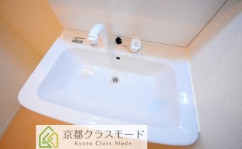 シャンプードレッサー