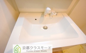 シャンプードレッサー