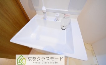 シャンプードレッサー