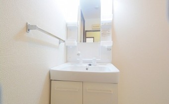 シャンプードレッサー