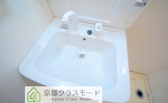 シャンプードレッサー