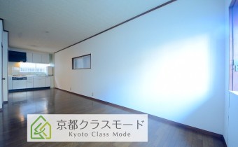 LDK10