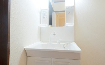 シャンプードレッサー
