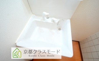 シャンプードレッサー