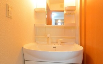 シャンプードレッサー