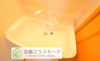 シャンプードレッサー