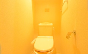 ウォシュレットトイレ※同ハイツ別タイプの写真です
