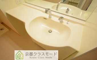 シャンプードレッサー