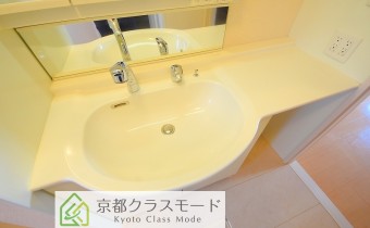 シャンプードレッサー