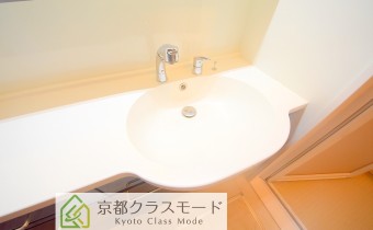 シャンプードレッサー　