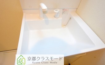 シャンプードレッサー