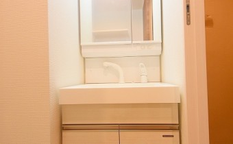 シャンプードレッサー