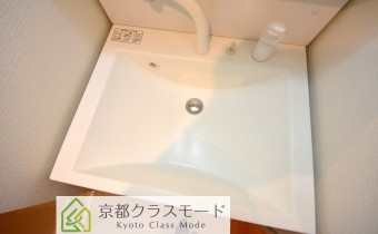 シャンプードレッサー