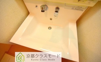 シャンプードレッサー