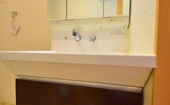 シャンプードレッサー