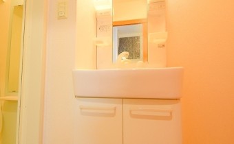 シャンプードレッサー