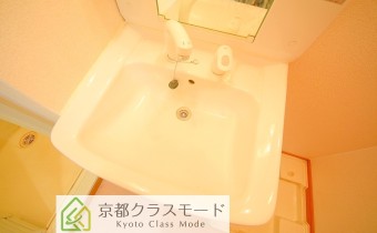 シャンプードレッサー
