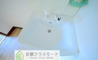 シャンプードレッサー