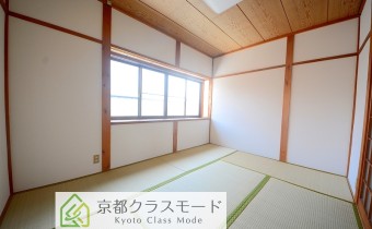 和6