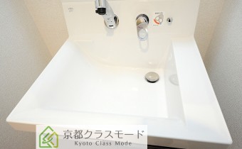 シャンプードレッサー