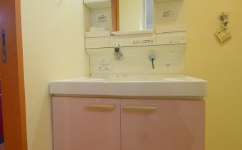 シャンプードレッサー