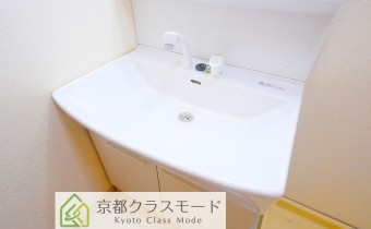 シャンプードレッサー